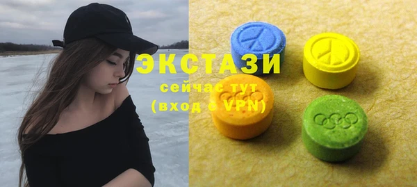 стаф Касимов