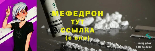 стаф Касимов
