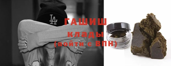стаф Касимов
