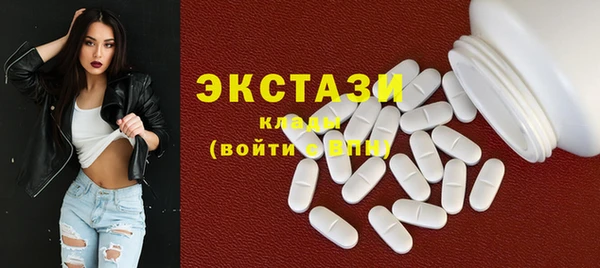 стаф Касимов