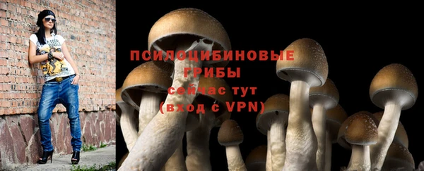 крисы Карпинск