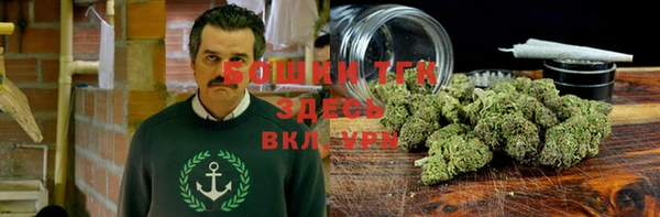крисы Карпинск