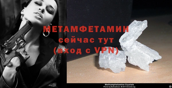 стаф Касимов