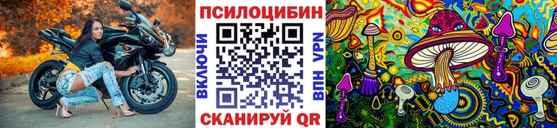 Купить где  Сортавала  Псилоцибиновые грибы прущие грибы 